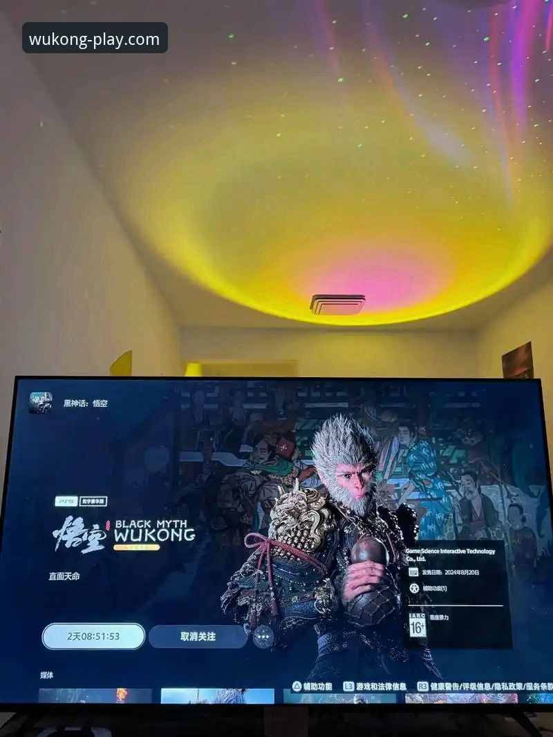 悟空体育平台移动端入口全面评测：从下载到高阶使用的效率指南